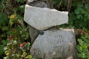 Fot. Uczestnicy projektu.