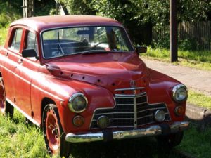 Fot. Podlaska Fundacja sportu, turystyki i ochrony przyrody SWT