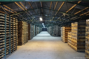 W Archiwum Rdzeni Wiertniczych w Szurpiłach znajduje się kilkadziesiąt tysięcy rdzeni, również te z 1962 r., z wiercenia w rejonie Krzemianki i Udrynia.