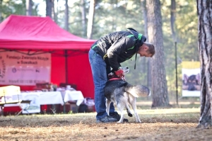 Fot. Magdalena Właszek