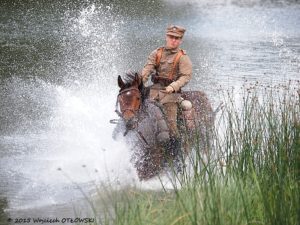 15.06.2015, Suwalki, nad Zalewem Arkadia , XV Piknik Kawaleryjski w Suwalkach, Proba Dzielnosci Konia fot. Wojciech Otlowski