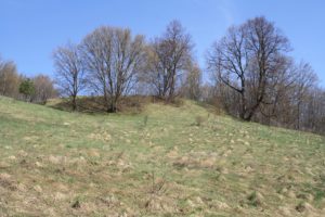 Na szczycie Góry Zamkowej Jaćwingowie zbudowali dwa pierścienie drewniano-ziemnych wałów obronnych. Fot. Hejpodlasie.blogspot.com