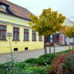 Wierusz-Kowalski na ekranie. Powstaje film dokumentalny o twórczości malarza Niebywałe Suwałki 3