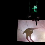 Egzotyczna podróż z suwalskim teatrem  Niebywałe Suwałki 1