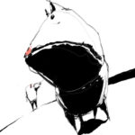 Od Polski Światłoczułej po Festiwal Short Waves Niebywałe Suwałki 3