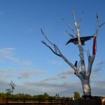 W przestrzeni marzeń Niebywałe Suwałki 3