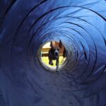 Pies – przyjaciel, pies – domownik Niebywałe Suwałki 9