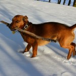 Multimedia w krasnogrudzkim dworze Niebywałe Suwałki 18