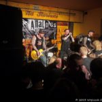 The Analogs, Suwalskie Ucho Muzyczne, Suwalki – 05.10.2013