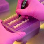 badania_dna_-_fot-_lukasz_szelemej_04