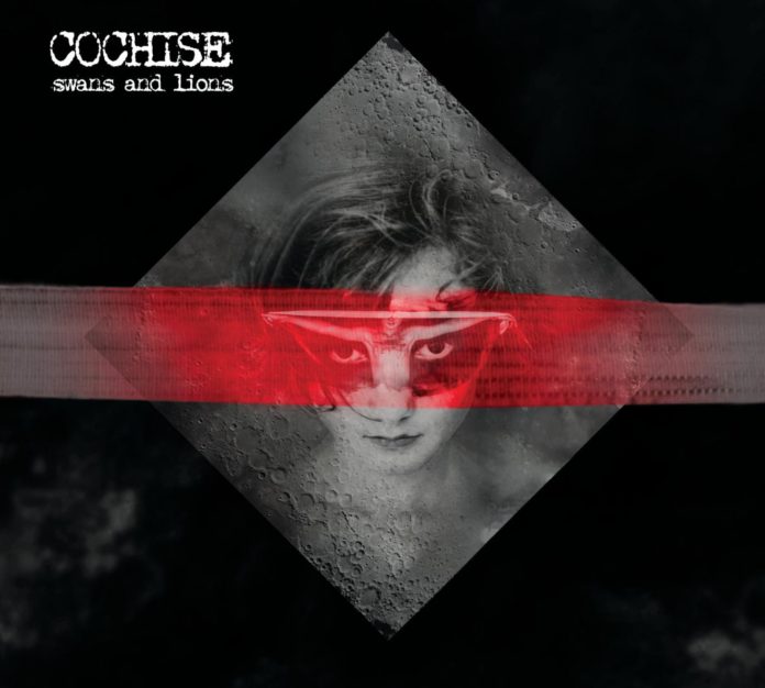 COCHISE_SwansLions