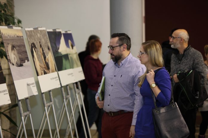 Podwodne zauroczenie