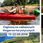 grafika – głosowanie 3 –