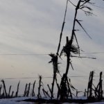 Jodoziory_i_okolice_0014