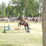 XIX Piknik Kawaleryjski