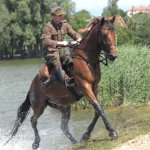 XIX Piknik Kawaleryjski