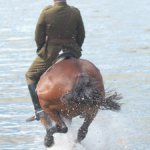 XIX Piknik Kawaleryjski