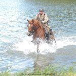 XIX Piknik Kawaleryjski