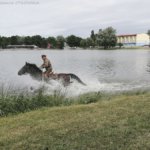 XIX Piknik Kawaleryjski