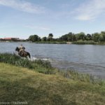 XIX Piknik Kawaleryjski