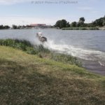 XIX Piknik Kawaleryjski