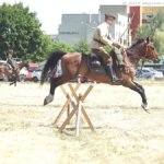 XIX Piknik Kawaleryjski