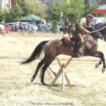 XIX Piknik Kawaleryjski