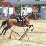 XIX Piknik Kawaleryjski