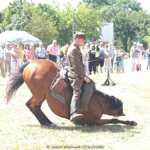 XIX Piknik Kawaleryjski