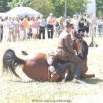 XIX Piknik Kawaleryjski