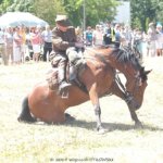 XIX Piknik Kawaleryjski