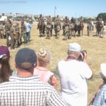 XIX Piknik Kawaleryjski