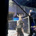 Browar północy fight night