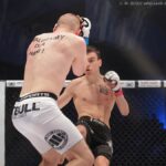 Browar północy fight night