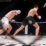 Browar północy fight night