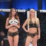 Browar północy fight night