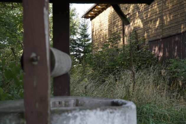 Drewno na nowo, Stowarzyszenie z Siedzibą w Warszawie, Sejny, architektura drewniana, Zuzanna Krzysztofik, Marcin Pawlukiewicz, historia, dziedzictwo kulturowe