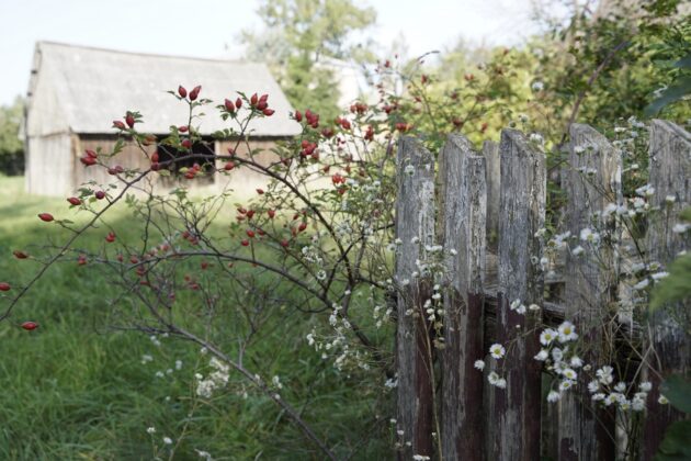 Drewno na nowo, Stowarzyszenie z Siedzibą w Warszawie, Sejny, architektura drewniana, Zuzanna Krzysztofik, Marcin Pawlukiewicz, historia, dziedzictwo kulturowe