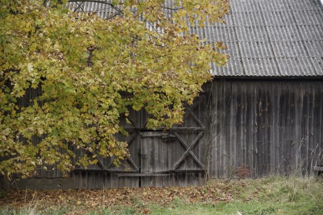 Drewno na nowo, Stowarzyszenie z Siedzibą w Warszawie, Sejny, architektura drewniana, Zuzanna Krzysztofik, Marcin Pawlukiewicz, historia, dziedzictwo kulturowe