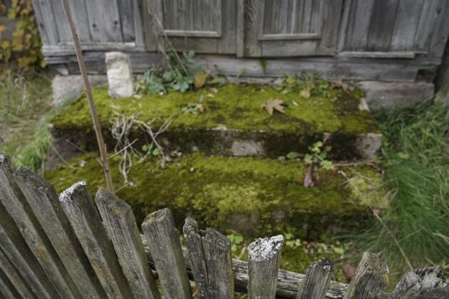 Drewno na nowo, Stowarzyszenie z Siedzibą w Warszawie, Sejny, architektura drewniana, Zuzanna Krzysztofik, Marcin Pawlukiewicz, historia, dziedzictwo kulturowe