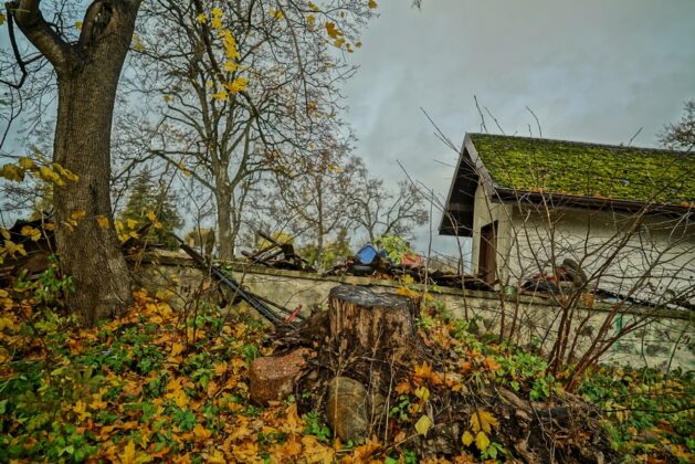 Suwałki, Niebywałe Suwałki, kompleks cmentarzy siedmiu wyznań, Dawid Banach, prawosławie, staroobrzędowcy, Żydzi, muzułmanie, ewangelicy