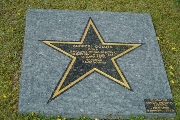 Andrzej Gołota, Szelment, Aleja Gwiazd