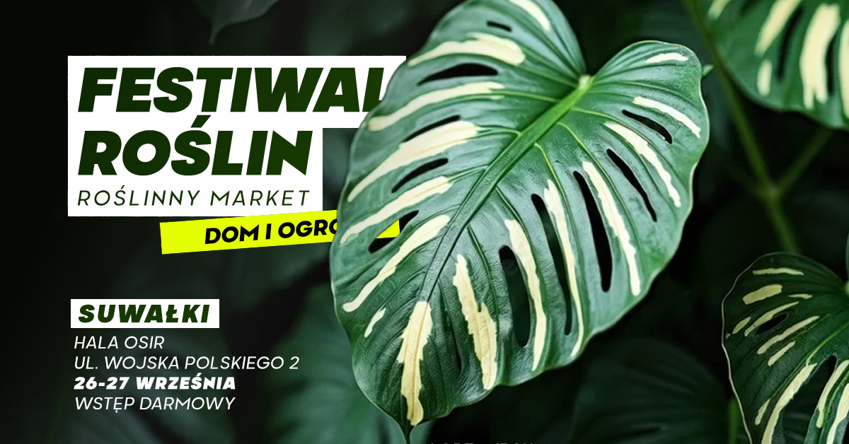 suwalki 1